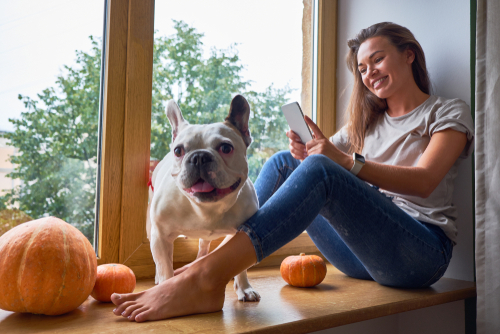 woman using her cell phone while sitting on windowsill french bulldog sits next to her